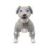 Puppy leash blue